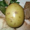 /images/2004/December/thumbnails/thumb_IMG_1575.jpg
