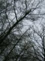 /images/2004/December/thumbnails/thumb_IMG_1721.jpg