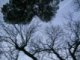 /images/2004/December/thumbnails/thumb_IMG_1731.jpg