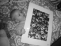 /images/2005/December/thumbnails/thumb_IMG_6332.jpg