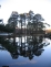 /images/2005/December/thumbnails/thumb_IMG_6811.jpg