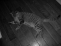 /images/2005/December/thumbnails/thumb_IMG_6831.jpg