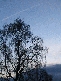 /images/2006/December/thumbnails/thumb_IMG_0398.jpg
