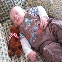 img_9166.jpg