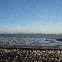 img_9202.jpg
