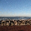 img_9216.jpg