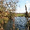 img_9262.jpg
