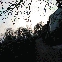 img_9281.jpg