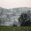 img_9288.jpg