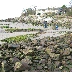 img_3713.jpg