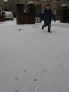 img_3746.jpg
