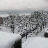 img_3785.jpg