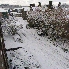 img_3786.jpg