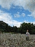 img_5392.jpg