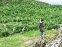 img_5412.jpg
