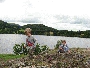 img_5416.jpg