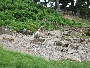 img_5430.jpg