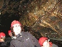 img_5455.jpg