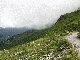 img_5517.jpg