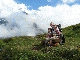 img_5542.jpg
