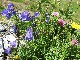 img_5562.jpg