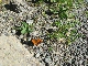 img_5573.jpg