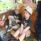 img_5602.jpg