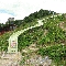 img_5667.jpg