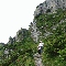 img_5692.jpg