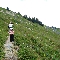 img_5695.jpg