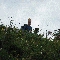 img_5708.jpg