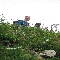 img_5709.jpg