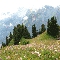 img_5723.jpg