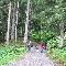 img_5765.jpg
