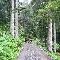 img_5766.jpg