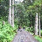 img_5767.jpg