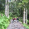 img_5768.jpg