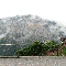 img_5787.jpg