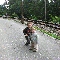 img_5791.jpg