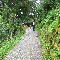 img_5792.jpg