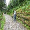 img_5794.jpg