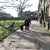 img_4209.jpg