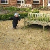 img_4219.jpg