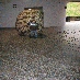 img_4260.jpg