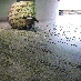 img_4261.jpg