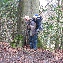img_4318.jpg