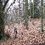 img_4328.jpg
