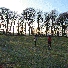 img_4062.jpg