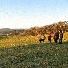 img_4074.jpg