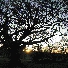 img_4079.jpg